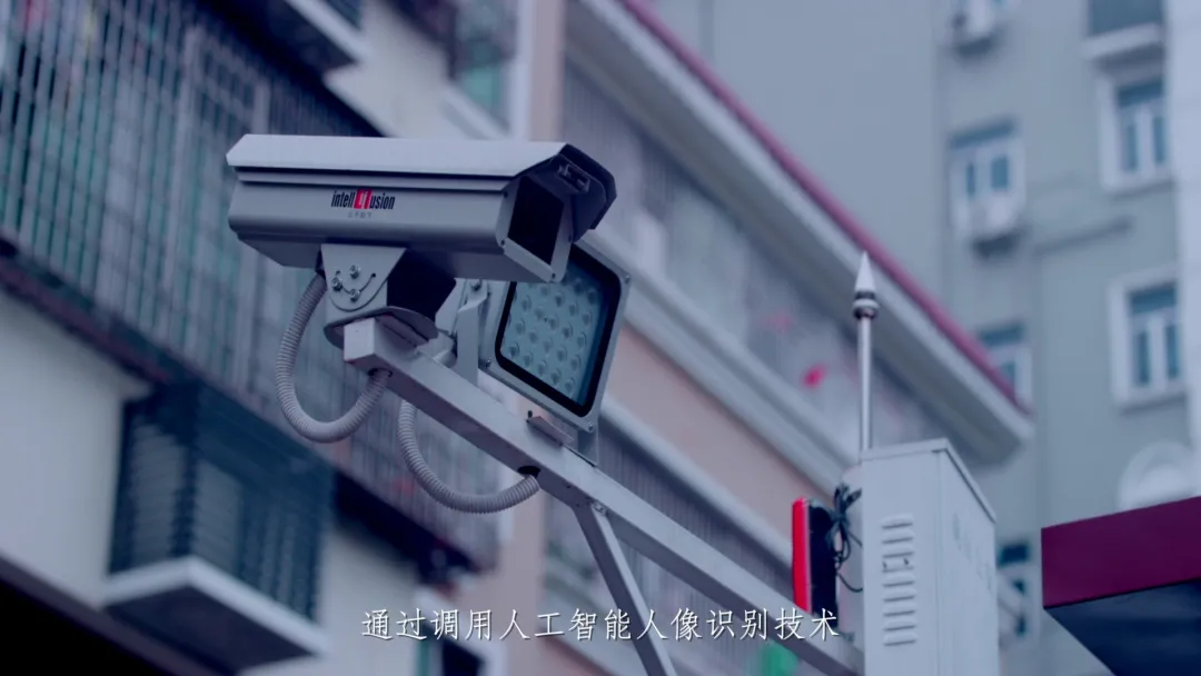 PA真人(China)集团官网，一个AI独角兽的数字化飞跃